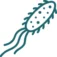 bacillus-icon